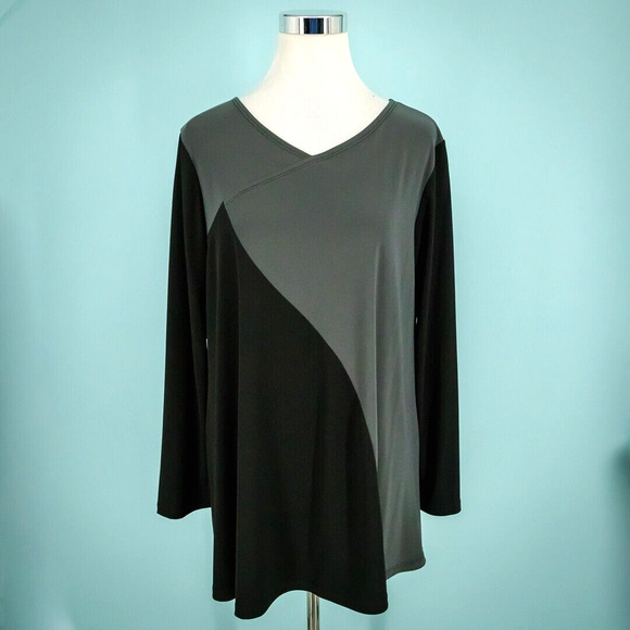 Clara Sun Woo Size Large L Black Gray Color Block V Neck Long Sleeve Tunic Top - Picture 1 of 5